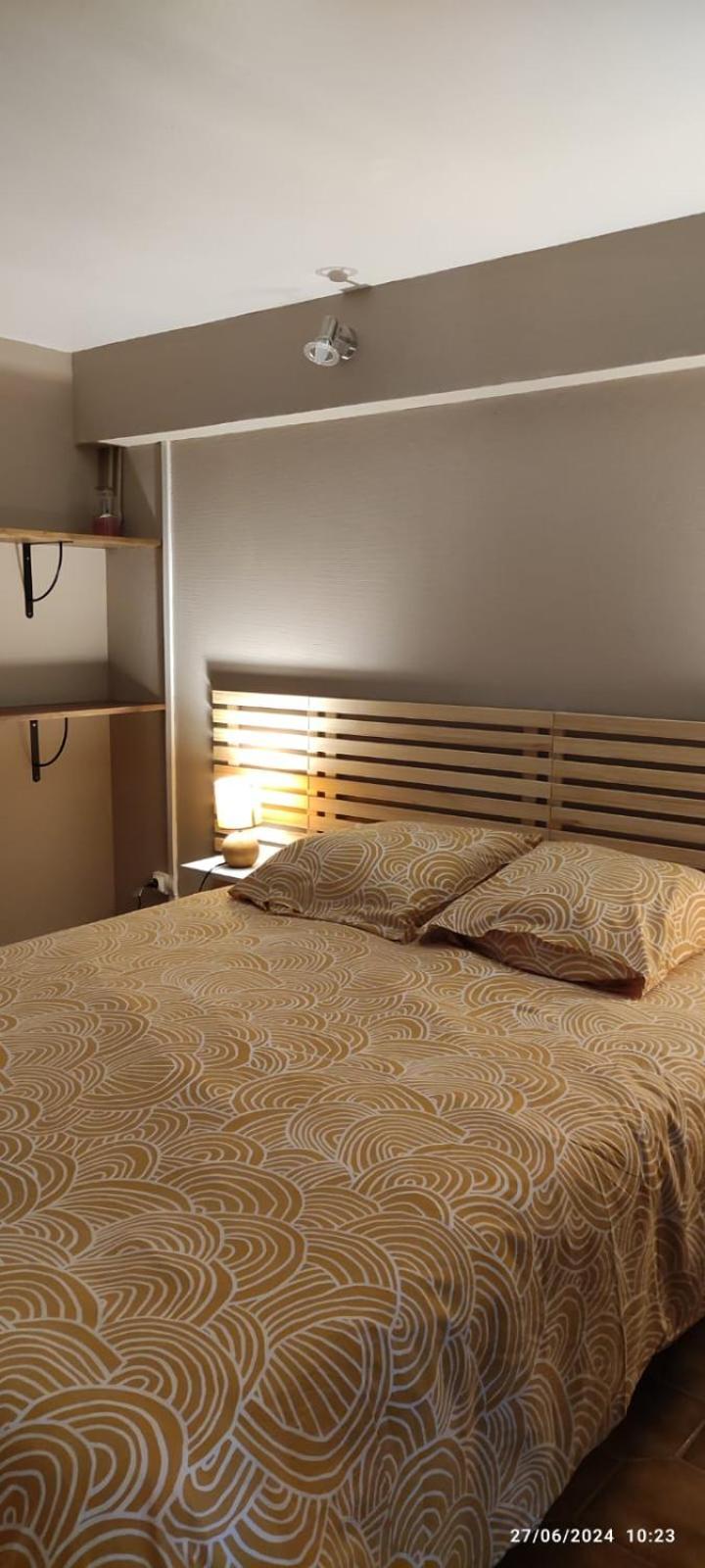 A L Ombre Du Figuier Apartment Cagnac-les-Mines Ngoại thất bức ảnh