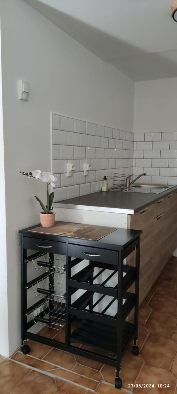 A L Ombre Du Figuier Apartment Cagnac-les-Mines Ngoại thất bức ảnh